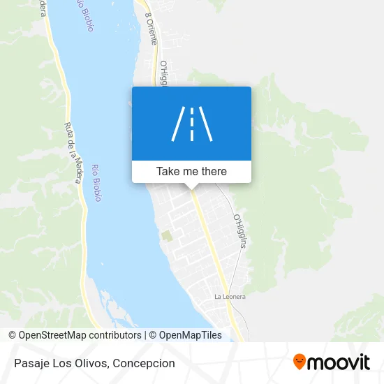 Mapa de Pasaje Los Olivos