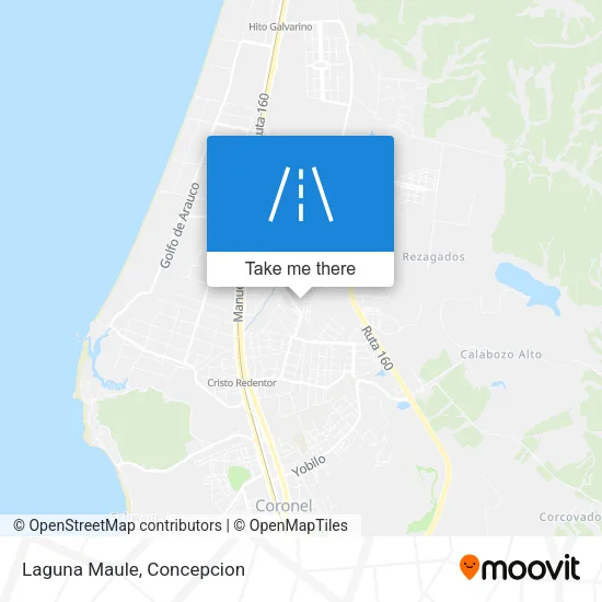 Laguna Maule map