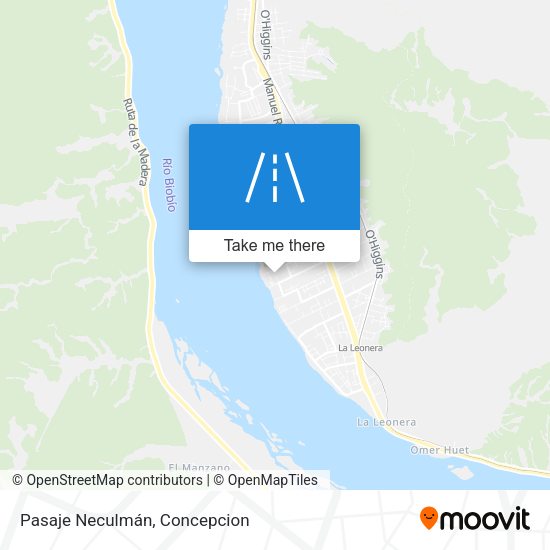 Pasaje Neculmán map