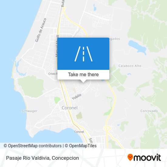 Pasaje Río Valdivia map