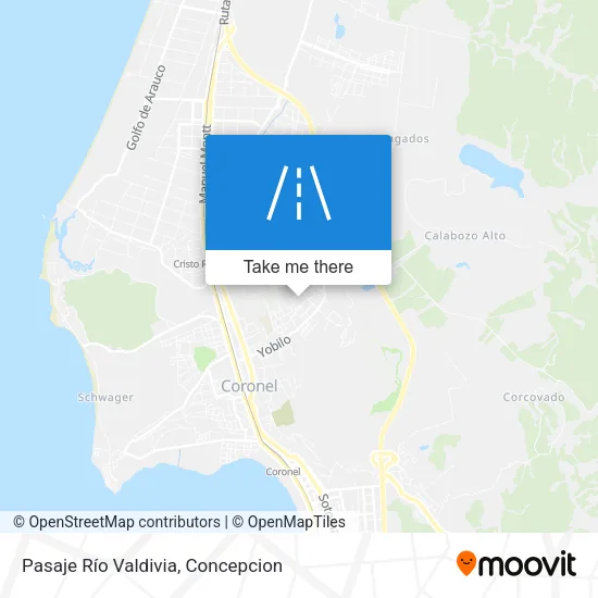 Pasaje Río Valdivia map