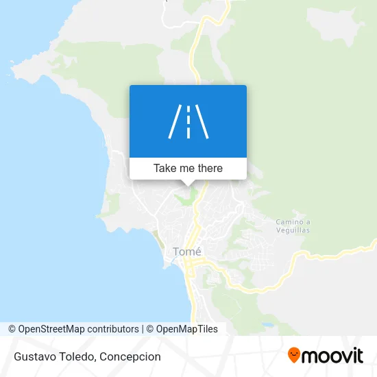 Gustavo Toledo map