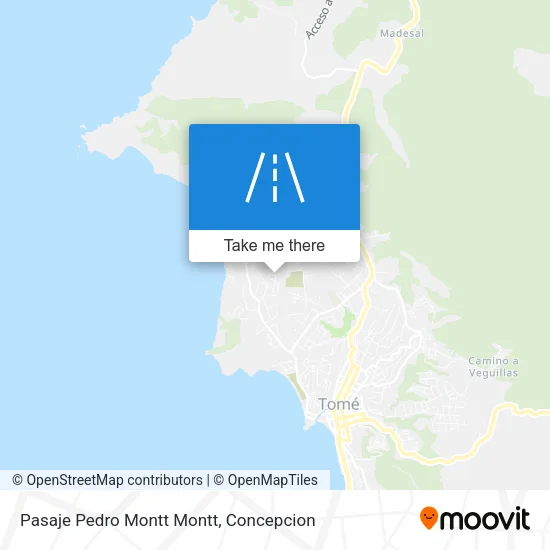 Mapa de Pasaje Pedro Montt Montt