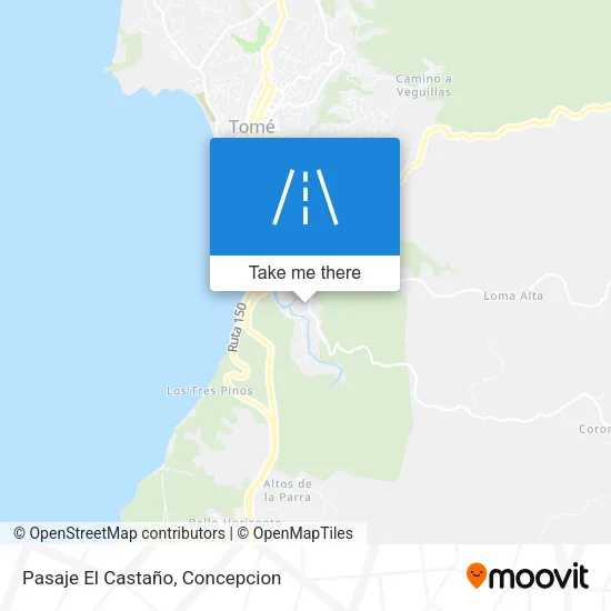 Mapa de Pasaje El Castaño