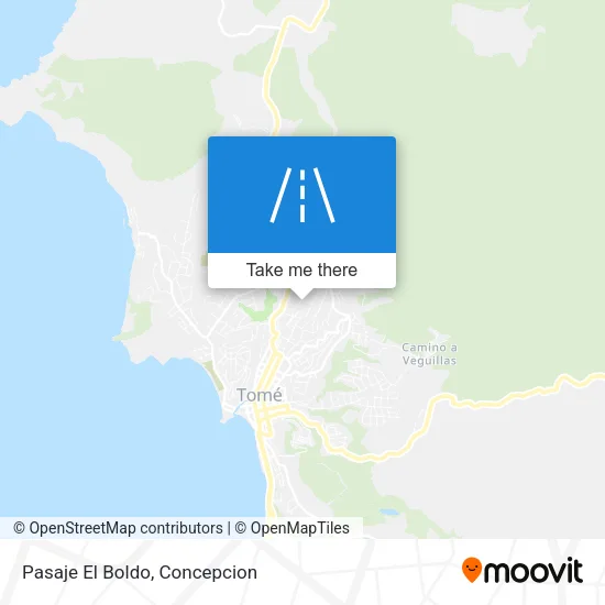 Mapa de Pasaje El Boldo
