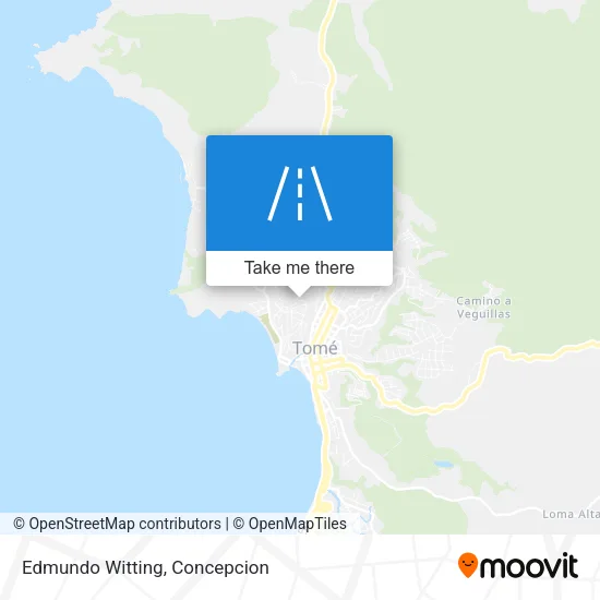 Edmundo Witting map