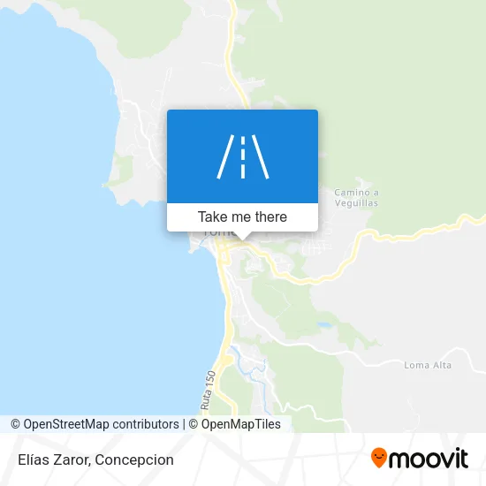 Mapa de Elías Zaror