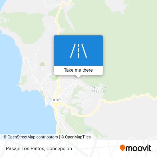 Pasaje Los Paltos map