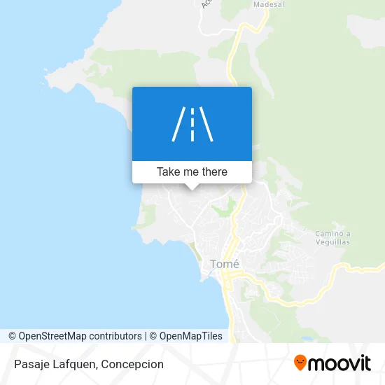 Pasaje Lafquen map