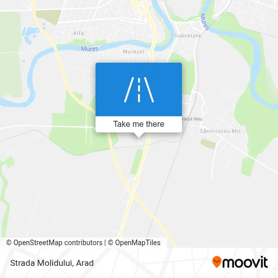 Strada Molidului map