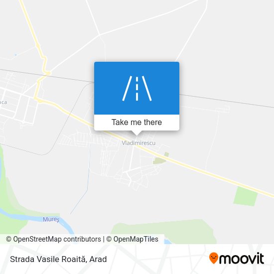 Strada Vasile Roaită map