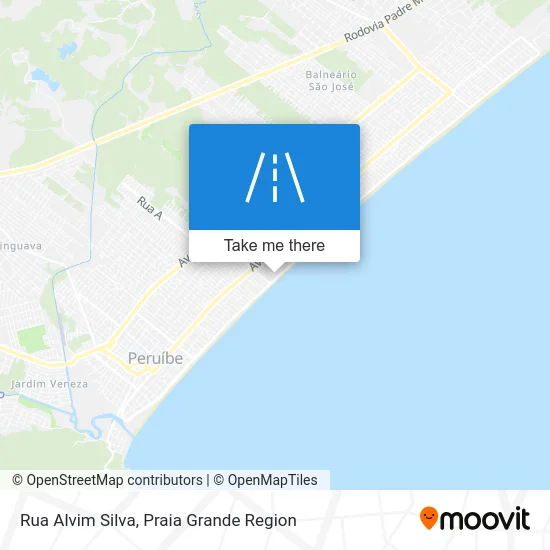 Rua Alvim Silva map