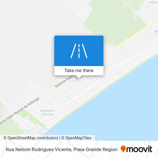 Rua Nelson Rodrigues Vicente map