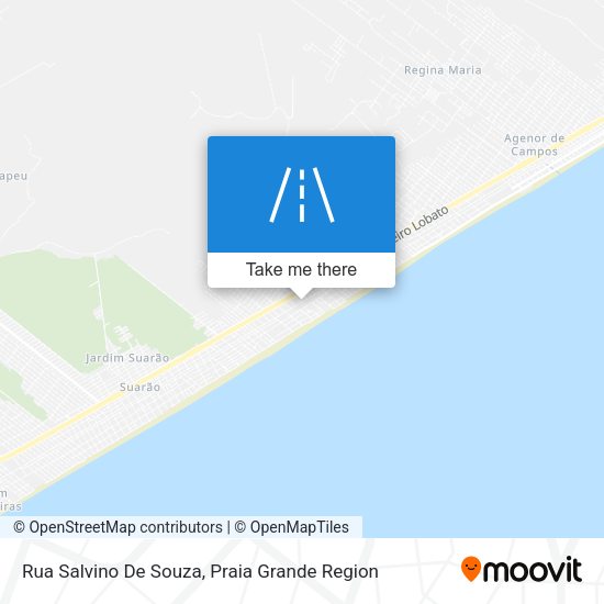 Rua Salvino De Souza map