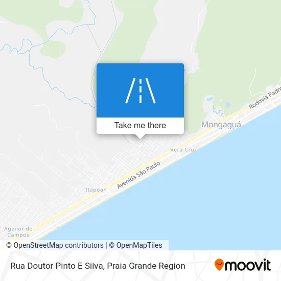 Rua Doutor Pinto E Silva map