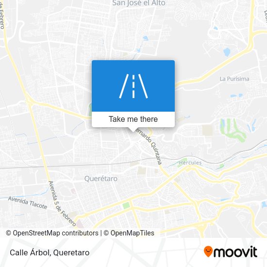 Mapa de Calle Árbol