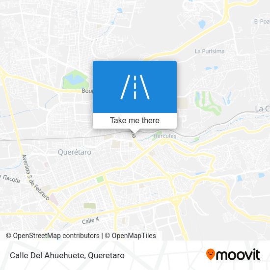 Calle Del Ahuehuete map