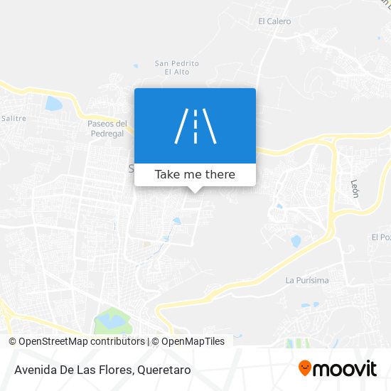 Avenida De Las Flores map