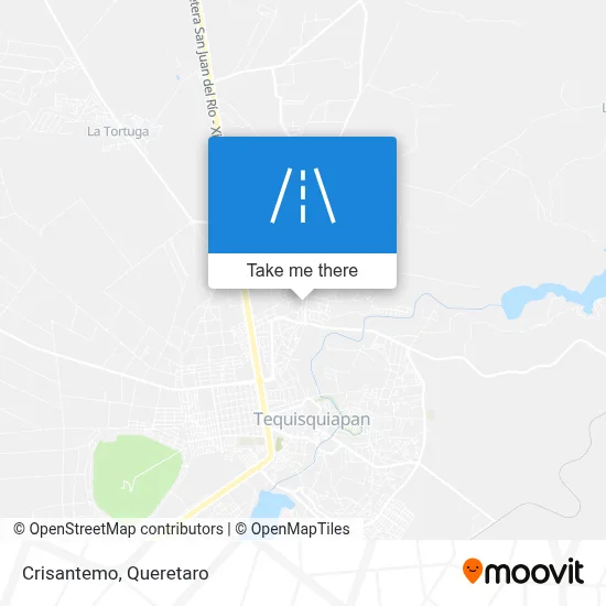 Crisantemo map