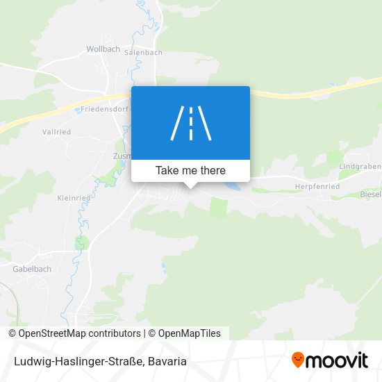 Ludwig-Haslinger-Straße map