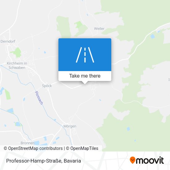 Professor-Hamp-Straße map