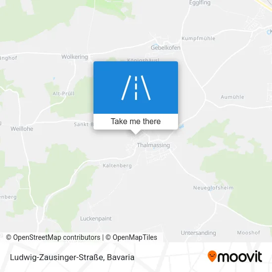Карта Ludwig-Zausinger-Straße