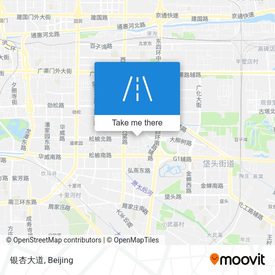 银杏大道 map