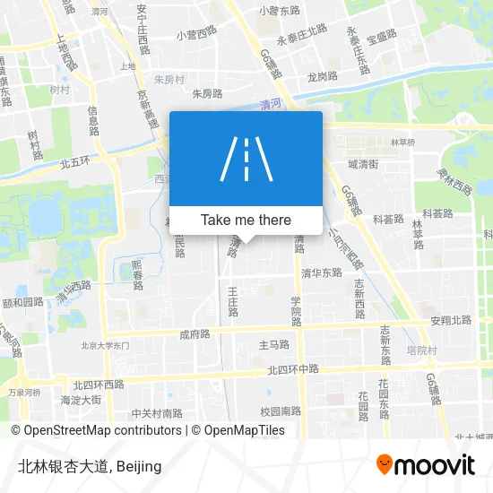 北林银杏大道 map