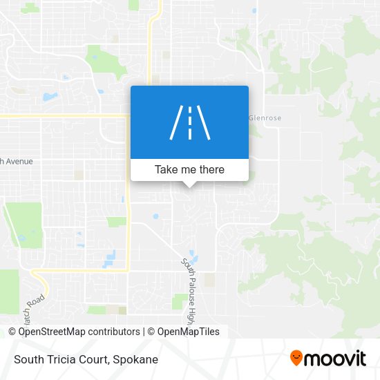 South Tricia Court map