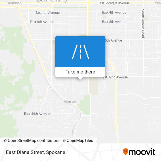 Mapa de East Diana Street