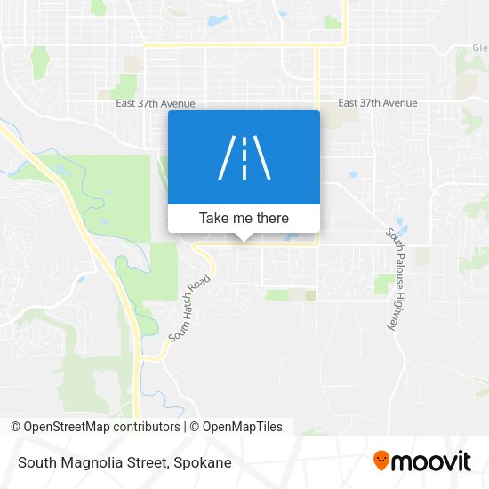 South Magnolia Street map