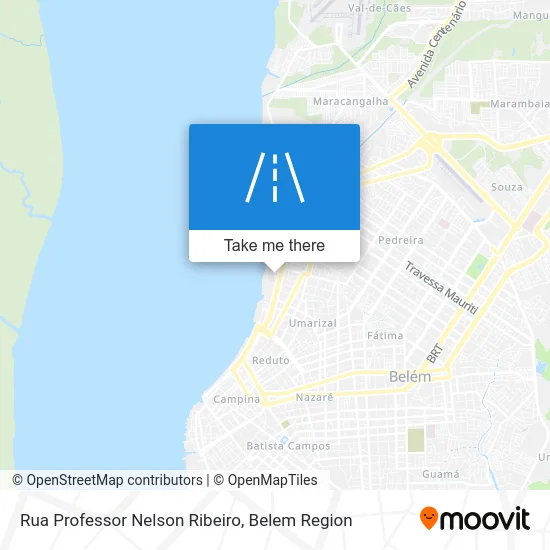 Rua Professor Nelson Ribeiro map