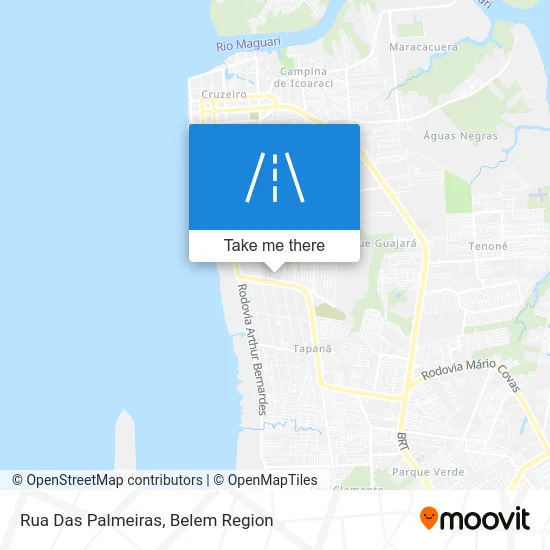 Rua Das Palmeiras map