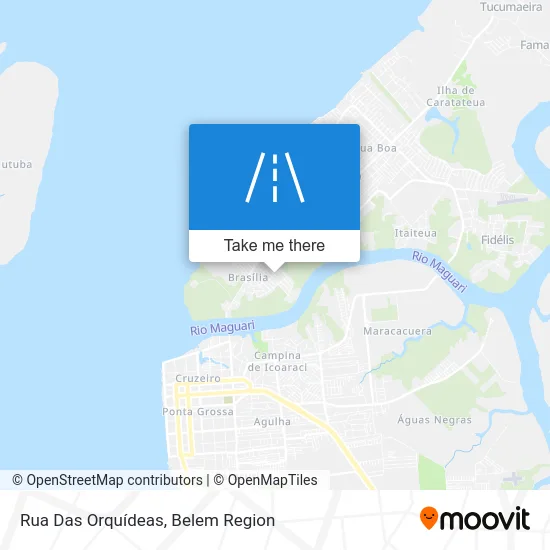 Rua Das Orquídeas map