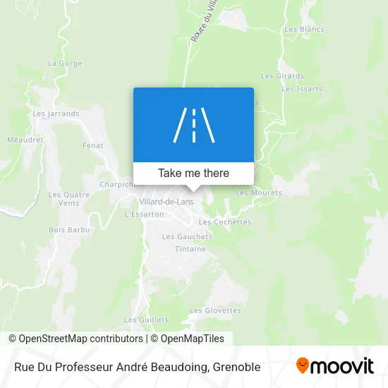 Rue Du Professeur André Beaudoing map