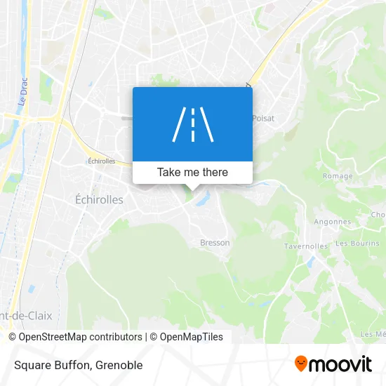 Square Buffon map
