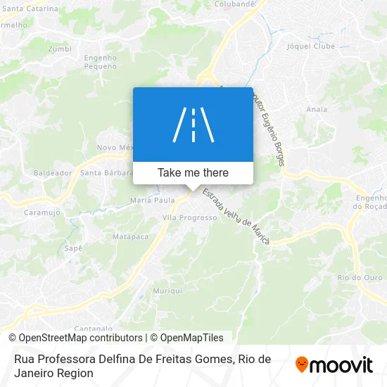 Rua Professora Delfina De Freitas Gomes map