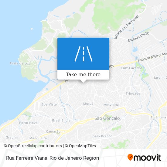 Rua Ferreira Viana map