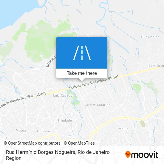 Rua Hermínio Borges Nogueira map