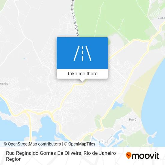 Rua Reginaldo Gomes De Oliveira map