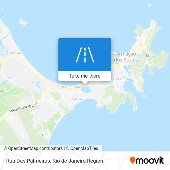 Rua Das Palmeiras map