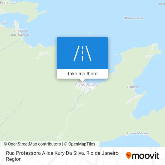 Rua Professora Alice Kury Da Silva map
