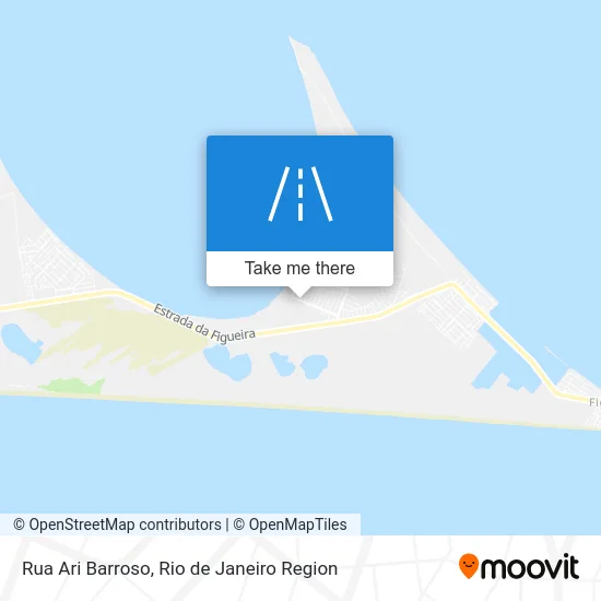 Rua Ari Barroso map