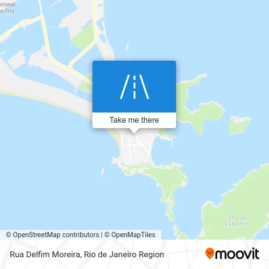 Rua Delfim Moreira map