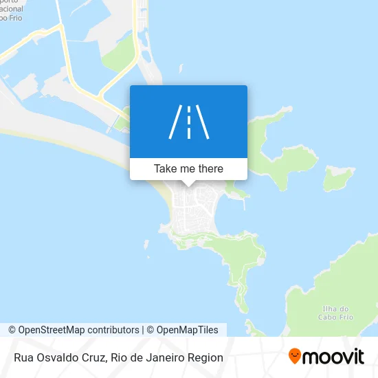 Rua Osvaldo Cruz map