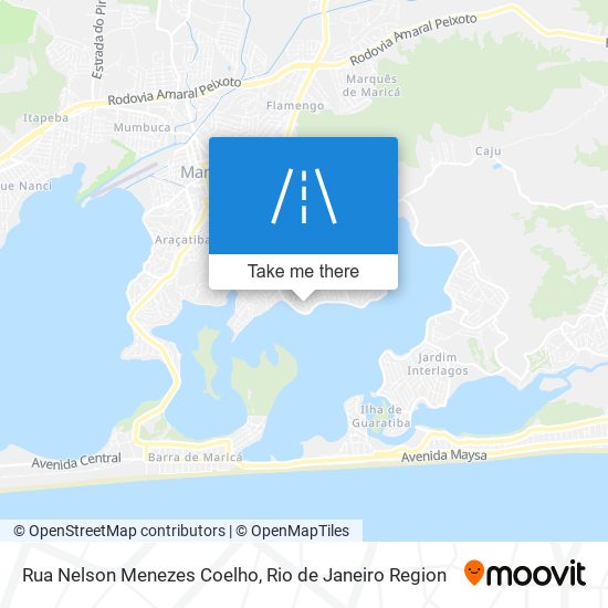 Mapa Rua Nelson Menezes Coelho