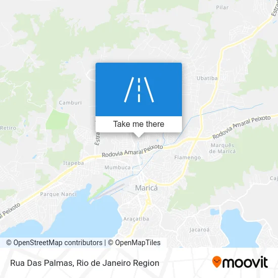 Rua Das Palmas map