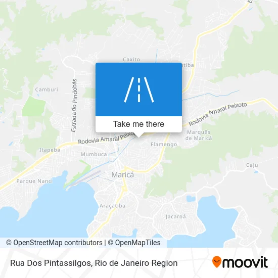 Rua Dos Pintassilgos map