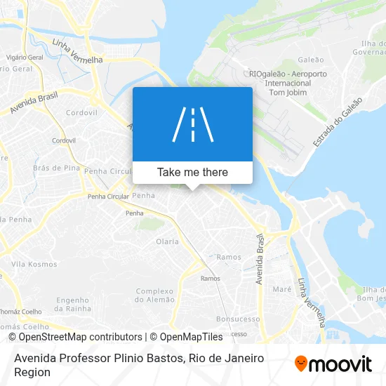 Avenida Professor Plinio Bastos map