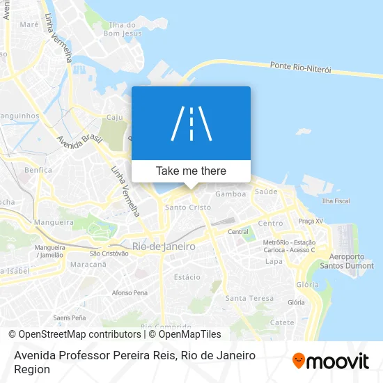 Avenida Professor Pereira Reis map